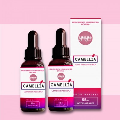 yuyuforyougotascamellia